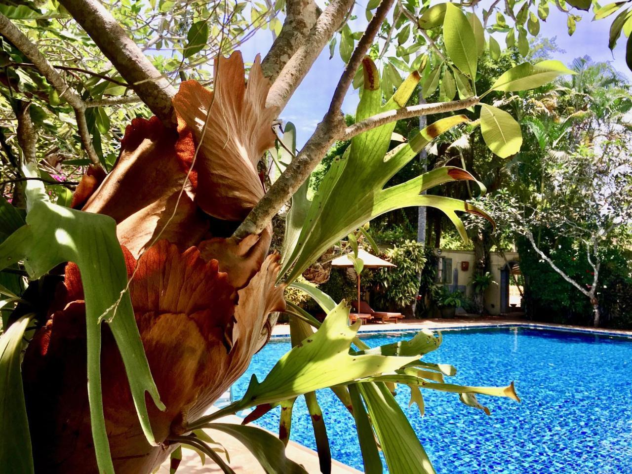 La Maison Nil Manel Hotel Ahungalla Bagian luar foto